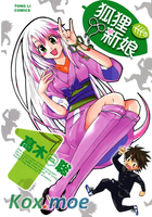 狐狸新娘
