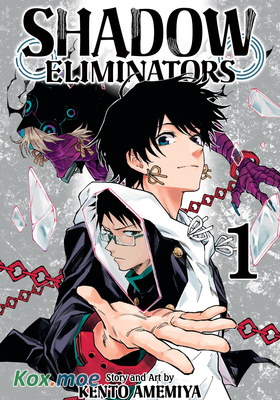 Shadow Eliminators