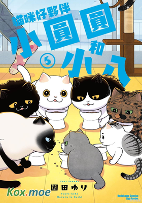 貓咪好夥伴小圓圓和小八